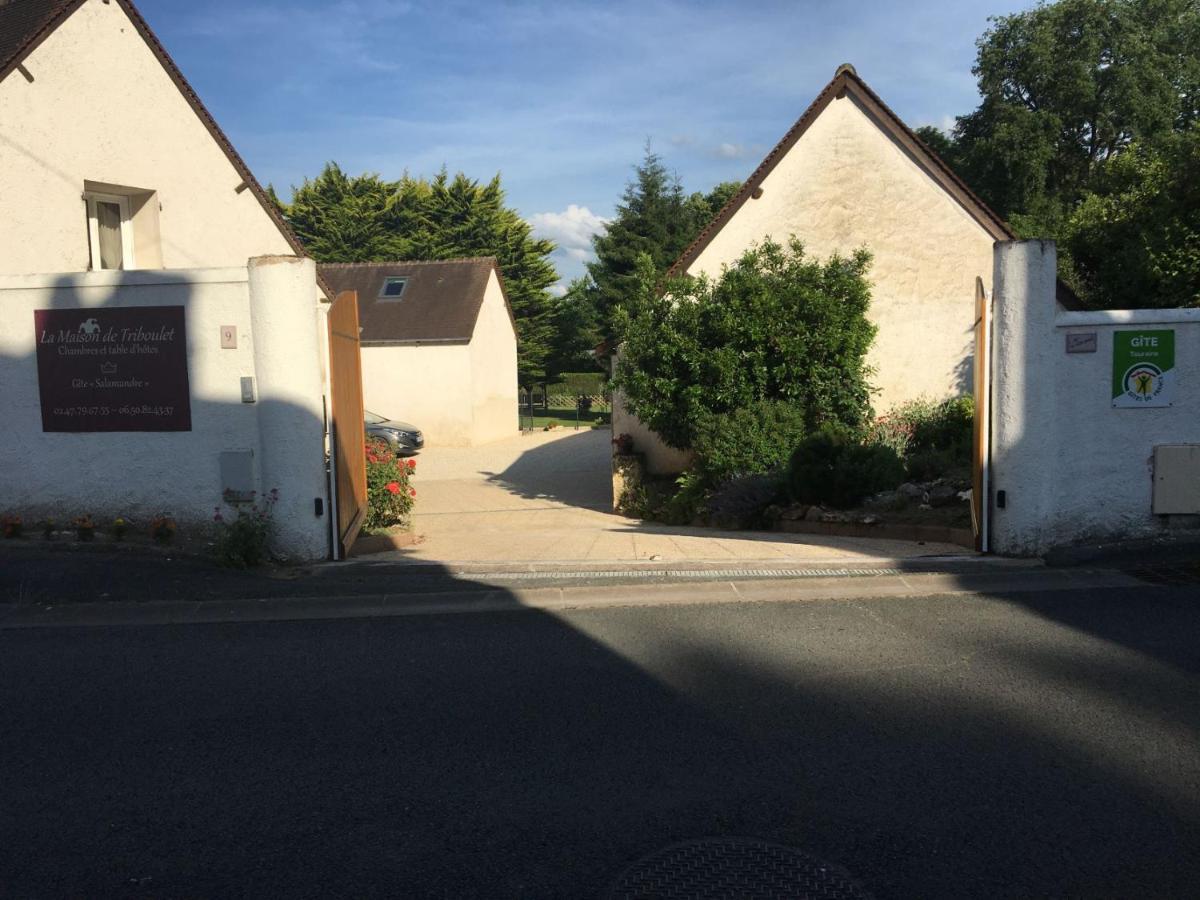 LA MAISON DE TRIBOULET Chambres et table d'hôtes Pocé-sur-Cisse Extérieur photo